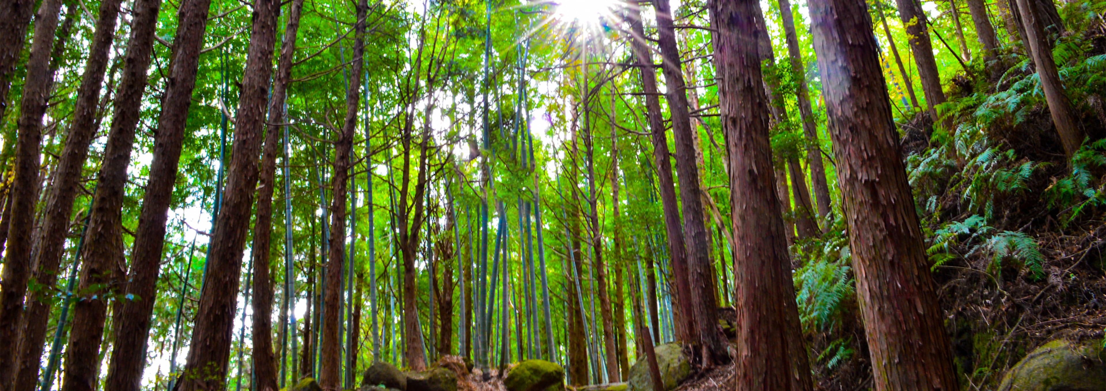 可能性を掛け合わせ、新しい未来を作り出す。